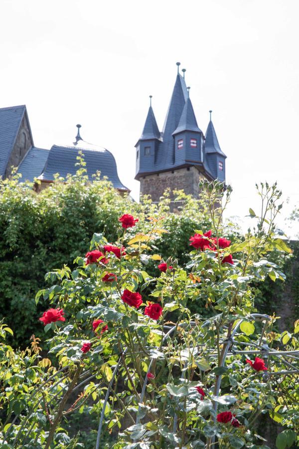 Schloss Spangenberg Exteriér fotografie
