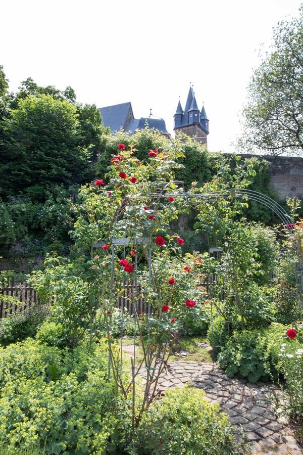 Schloss Spangenberg Exteriér fotografie